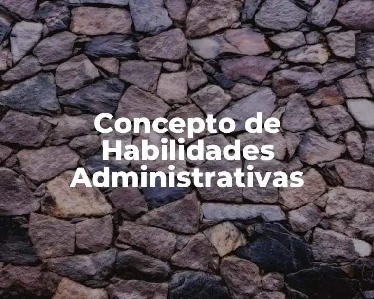 Concepto de Habilidades Administrativas
