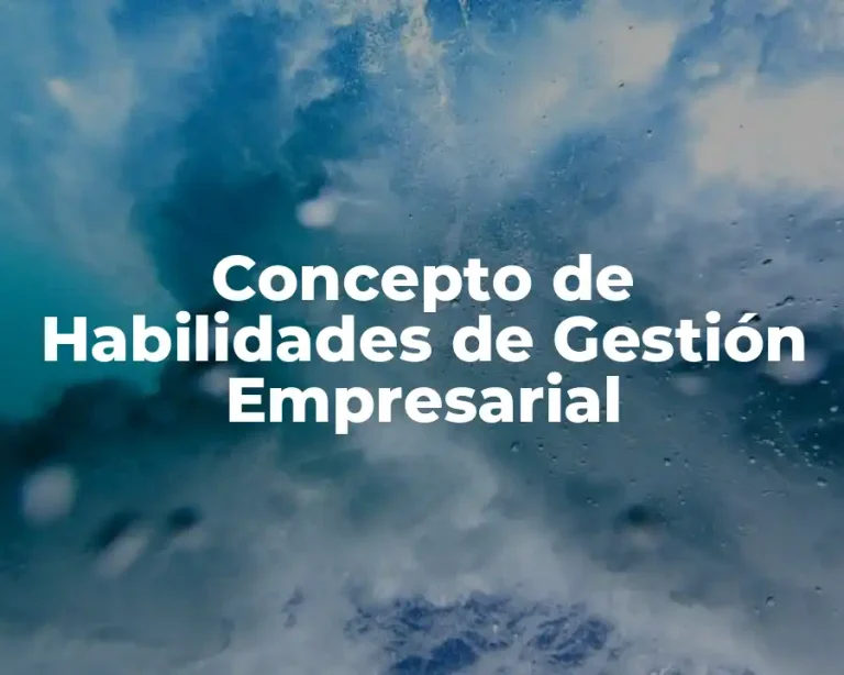 Concepto de Habilidades de Gestión Empresarial