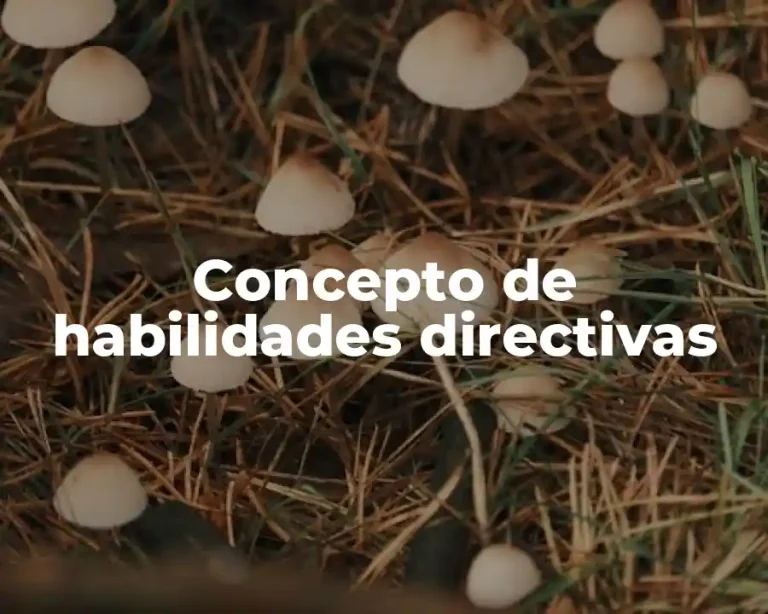 Concepto de habilidades directivas
