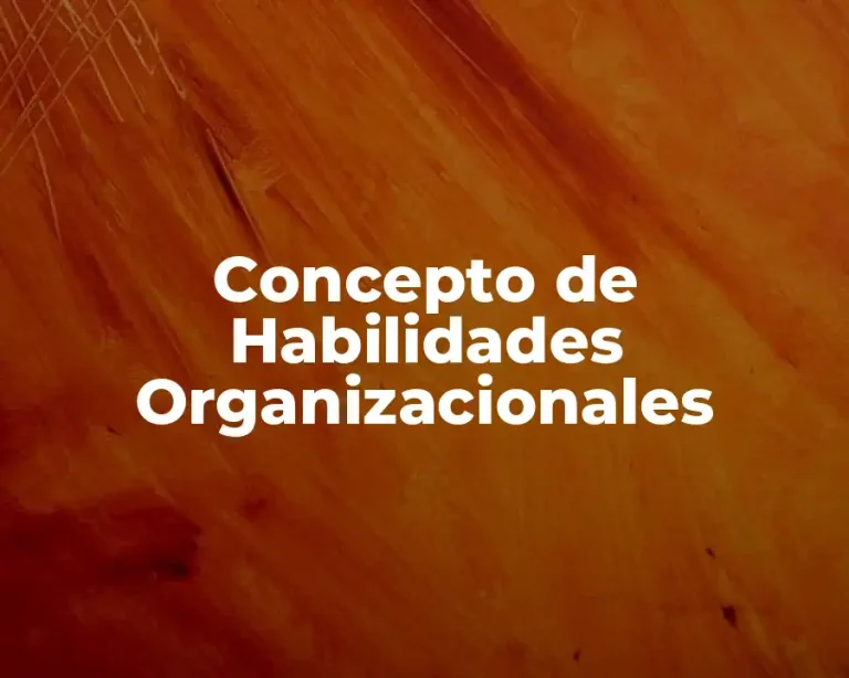 Concepto de Habilidades Organizacionales