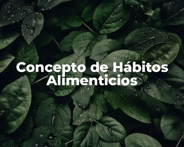 Concepto de Hábitos Alimenticios