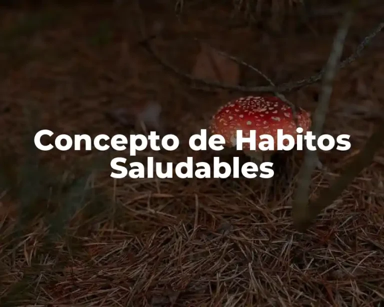 Concepto de Habitos Saludables