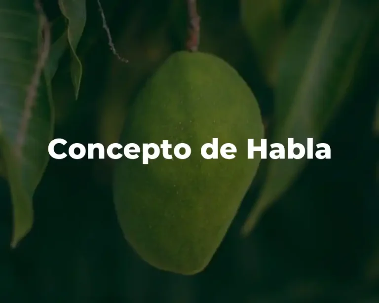 Concepto de Habla