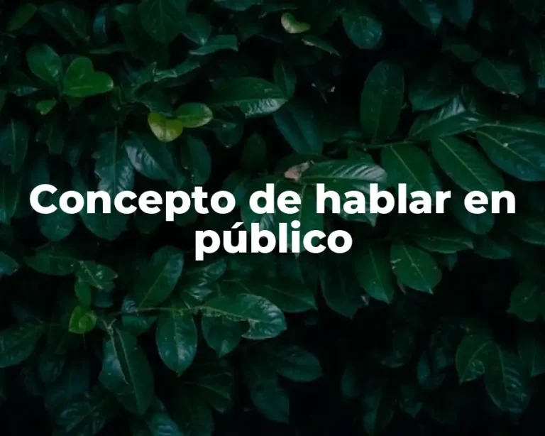 Concepto de hablar en público