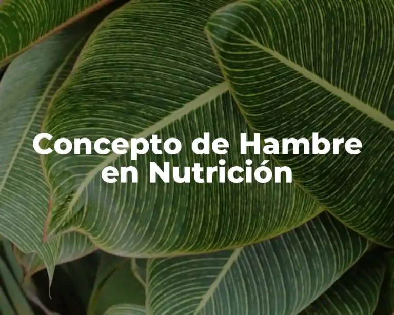Concepto de Hambre en Nutrición