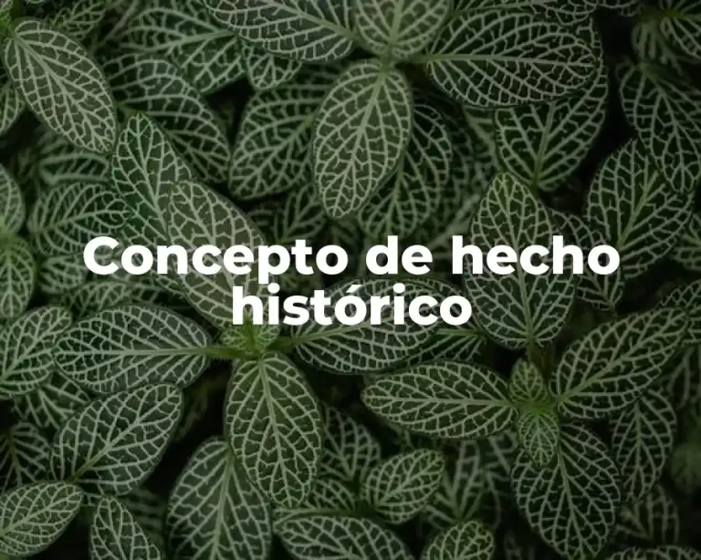 Concepto de hecho histórico