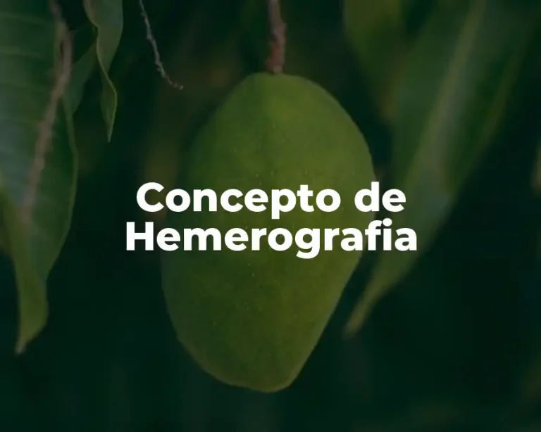 Concepto de Hemerografia
