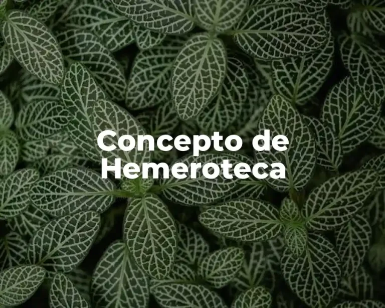 Concepto de Hemeroteca