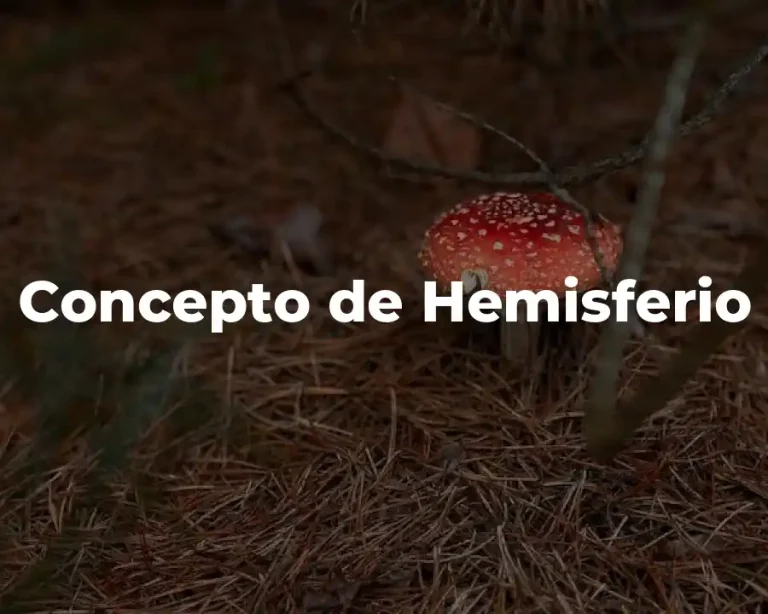 Concepto de Hemisferio
