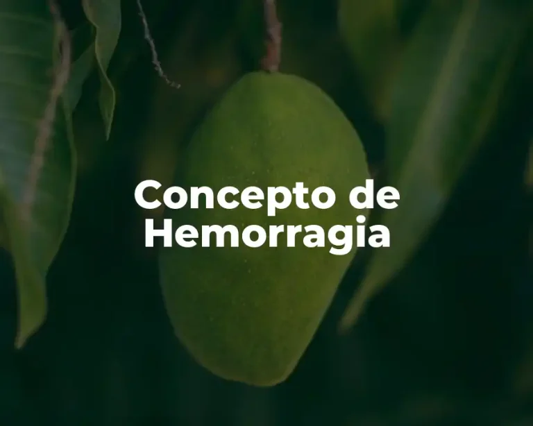 Concepto de Hemorragia
