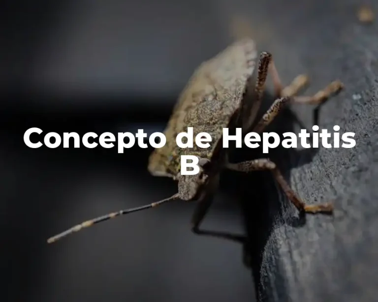 Concepto de Hepatitis B