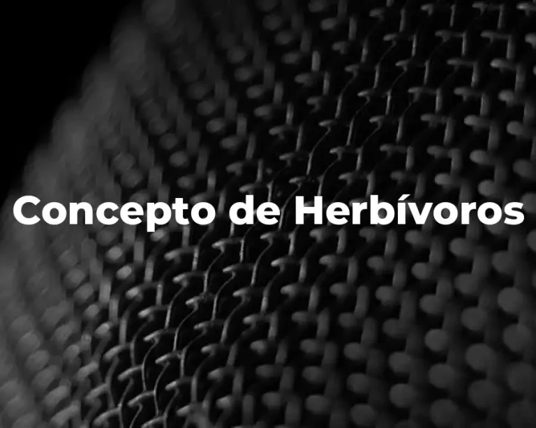 Concepto de Herbívoros