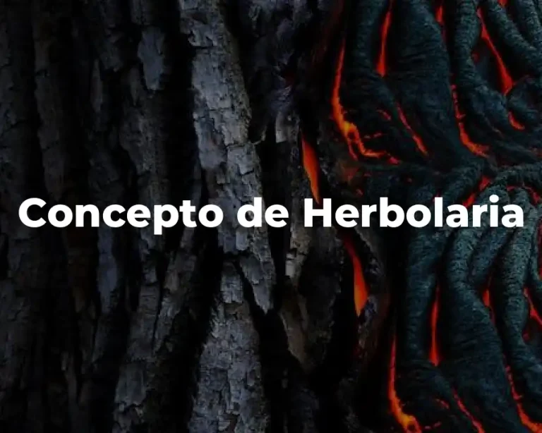 Concepto de Herbolaria