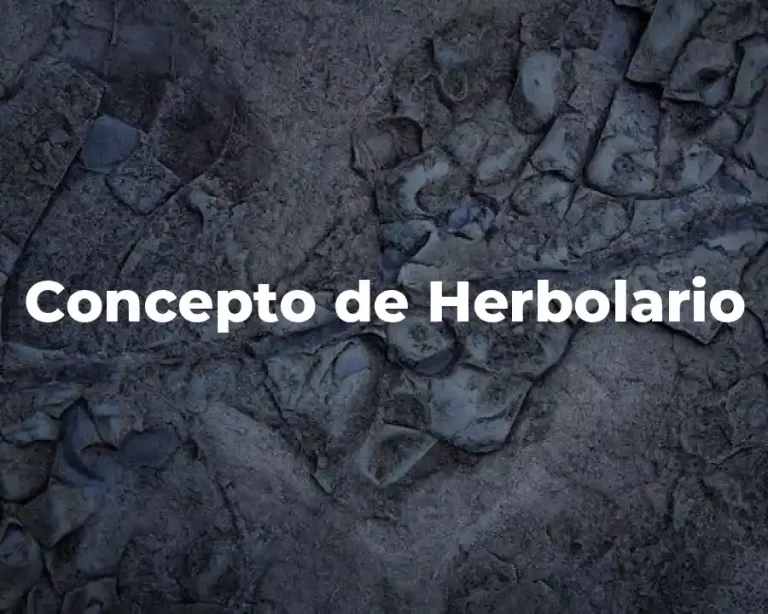 Concepto de Herbolario