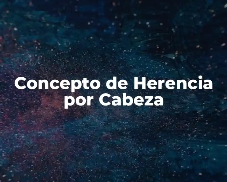 Concepto de Herencia por Cabeza