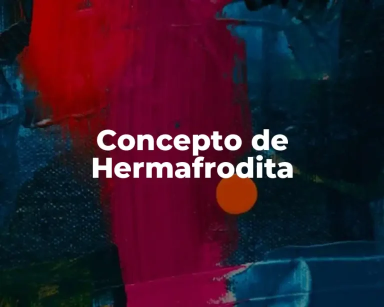 Concepto de Hermafrodita