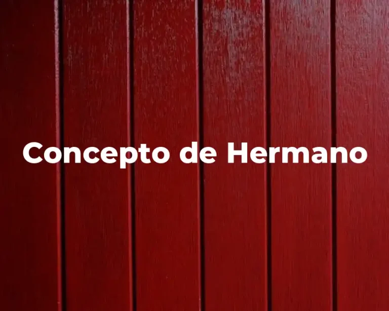 Concepto de Hermano