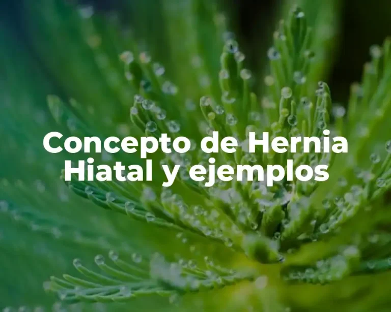 Concepto de Hernia Hiatal y ejemplos