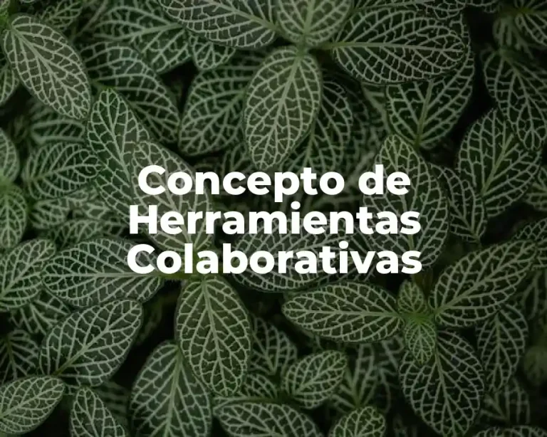Concepto de Herramientas Colaborativas
