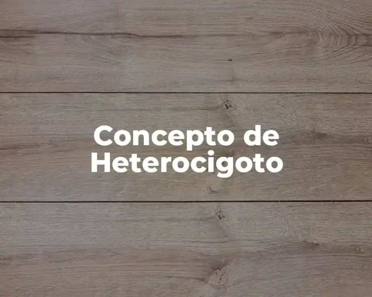Concepto de Heterocigoto