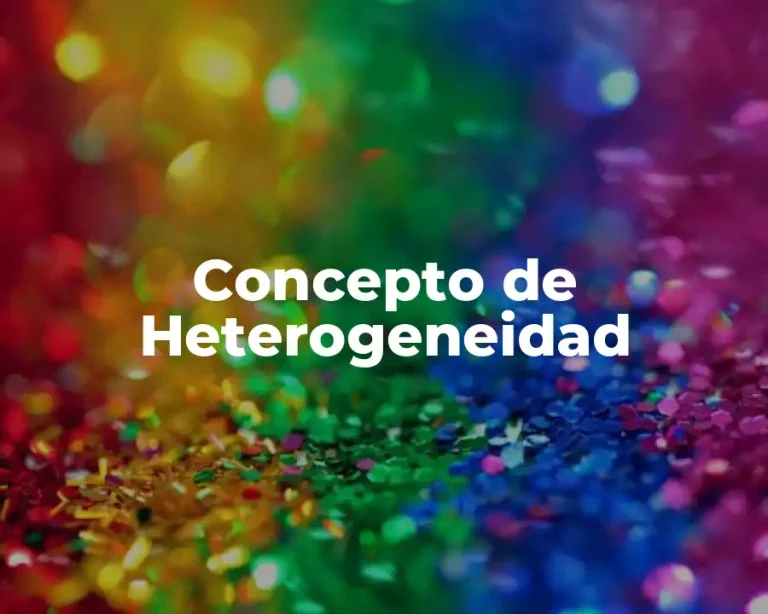 Concepto de Heterogeneidad