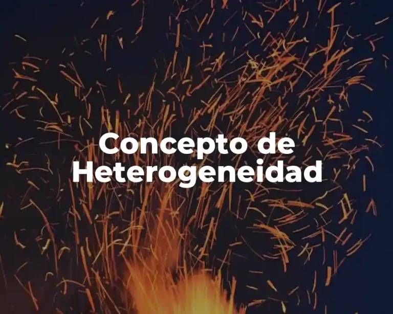 Concepto de Heterogeneidad
