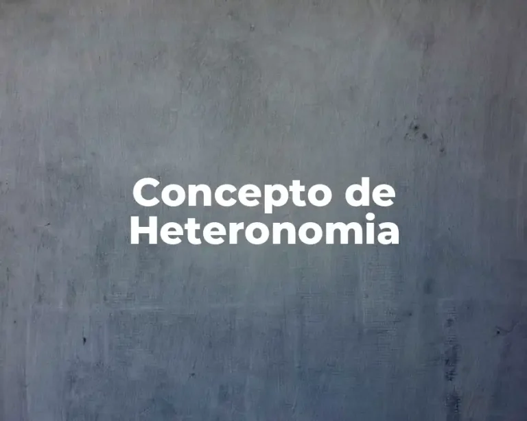 Concepto de Heteronomia