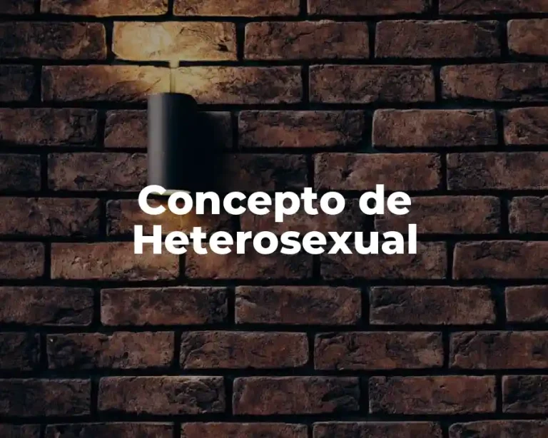 Concepto de Heterosexual