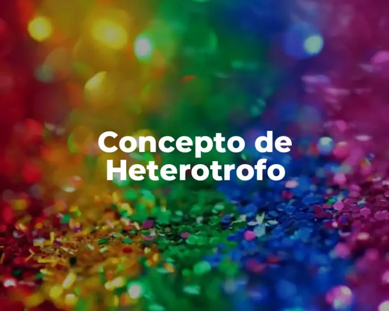 Concepto de Heterotrofo