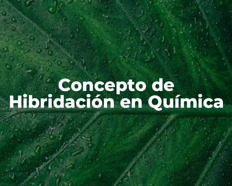 Concepto de Hibridación en Química