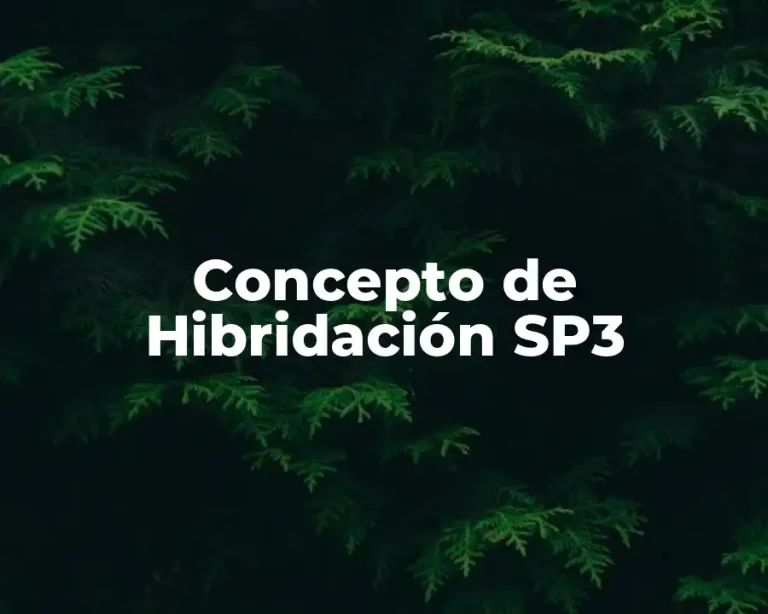 Concepto de Hibridación SP3