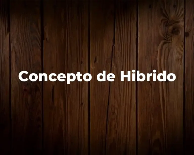 Concepto de Hibrido
