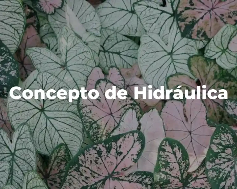 Concepto de Hidráulica