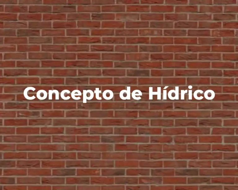 Concepto de Hídrico
