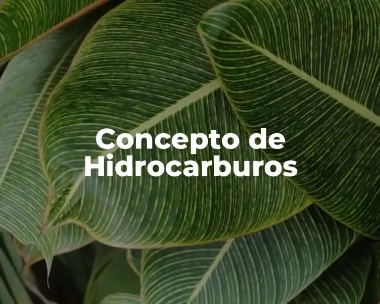 Concepto de Hidrocarburos