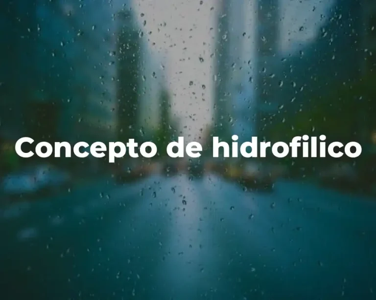 Concepto de hidrofilico