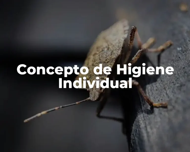 Concepto de Higiene Individual