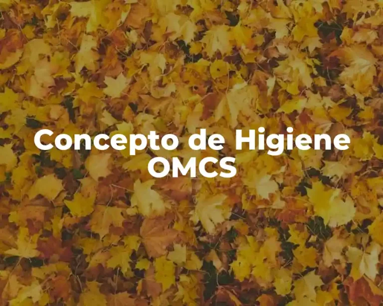 Concepto de Higiene OMCS