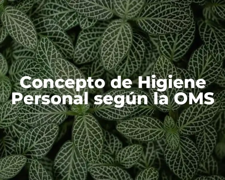 Concepto de Higiene Personal según la OMS