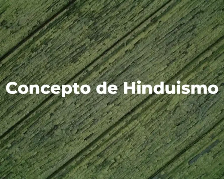 Concepto de Hinduismo