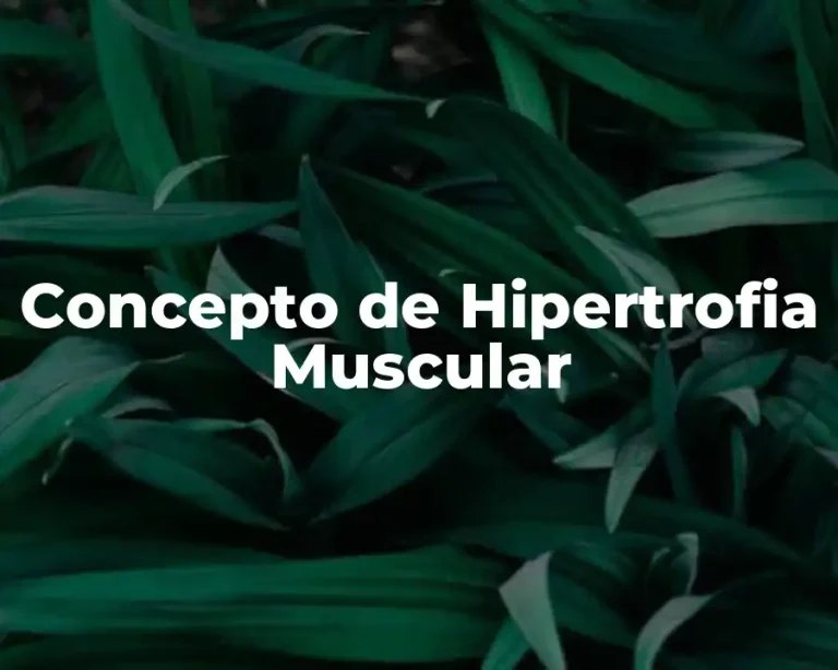 Concepto de Hipertrofia Muscular