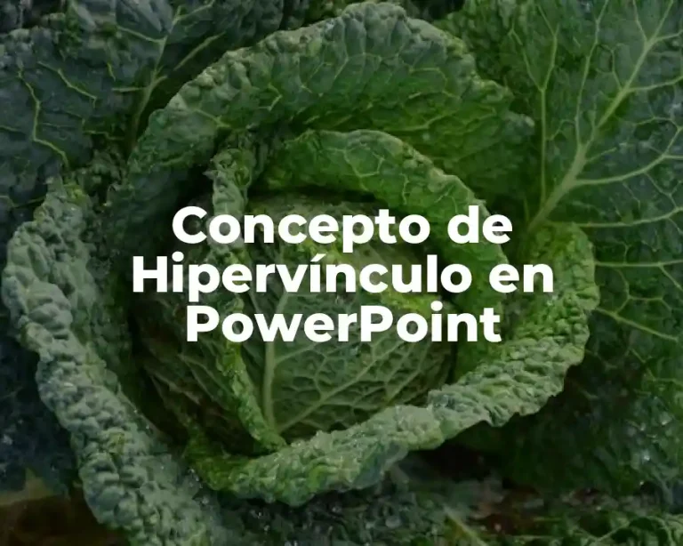 Concepto de Hipervínculo en PowerPoint