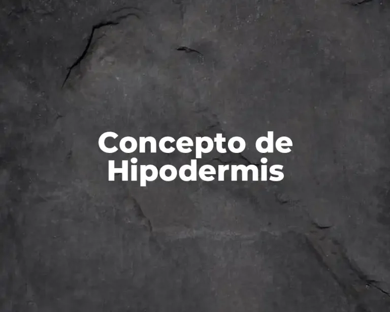 Concepto de Hipodermis