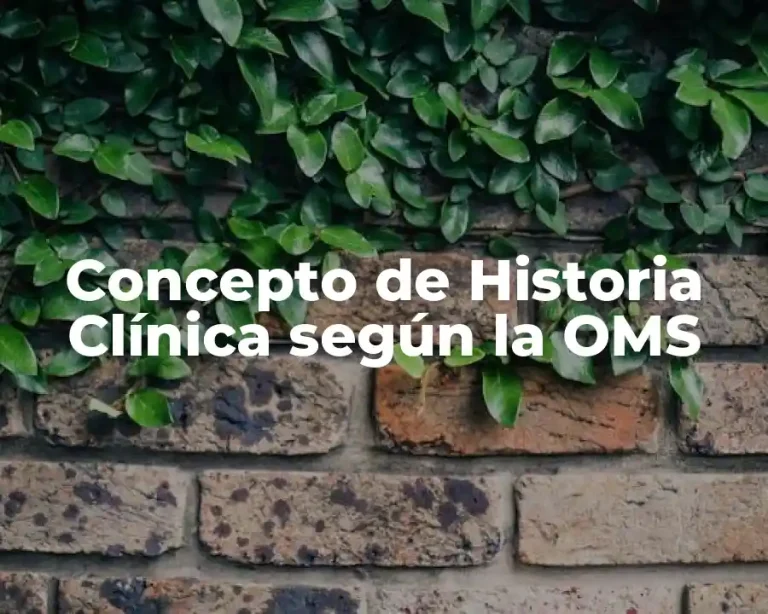 Concepto de Historia Clínica según la OMS