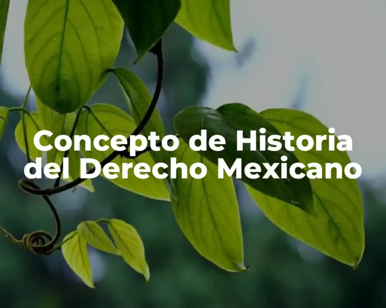 Concepto de Historia del Derecho Mexicano