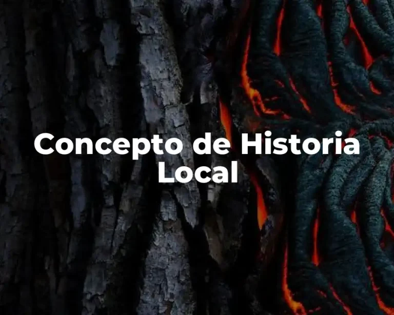 Concepto de Historia Local