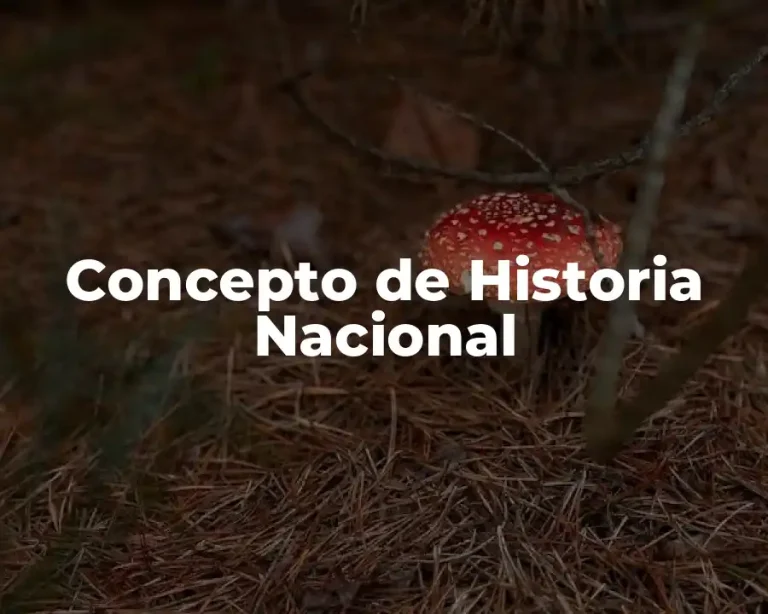 Concepto de Historia Nacional