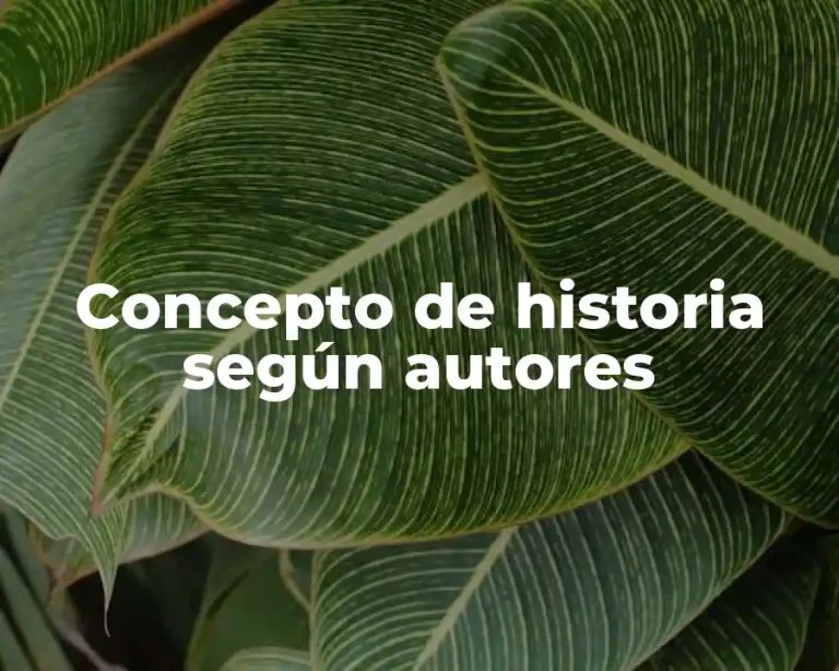 Concepto de historia según autores