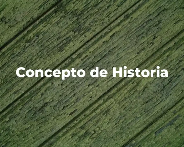 Concepto de Historia