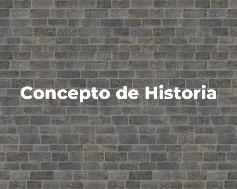 Concepto de Historia